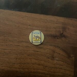 Source Unknown Camel Brooch with Blue and Yellow Accents